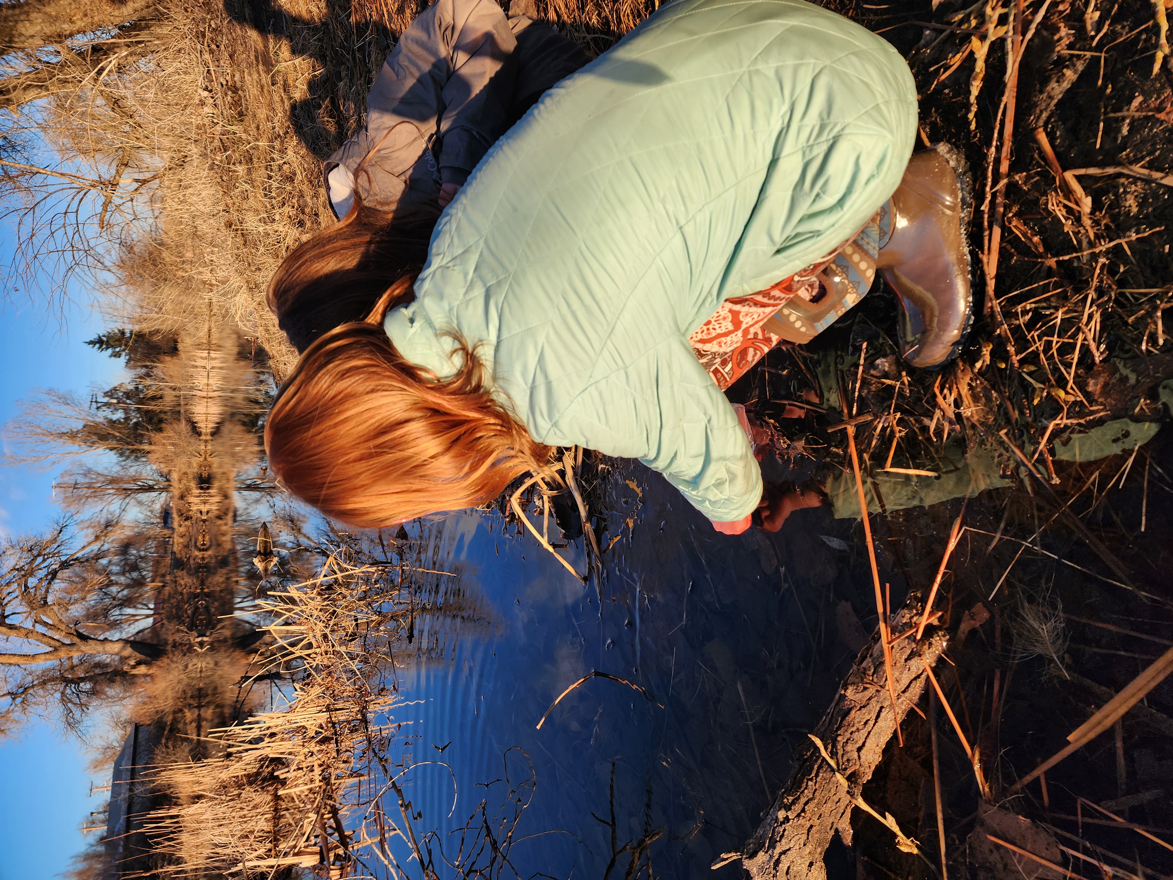 Pond Water Collection